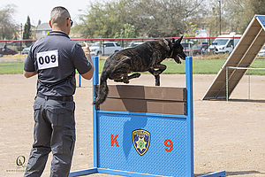 K9T_PH21_IMG_0484.jpg