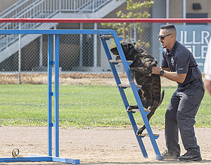 K9T_PH21_IMG_0509.jpg