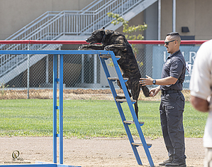 K9T_PH21_IMG_0516.jpg