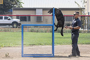 K9T_PH21_IMG_0537.jpg