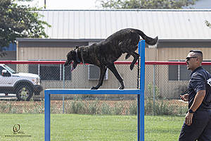 K9T_PH21_IMG_0543.jpg