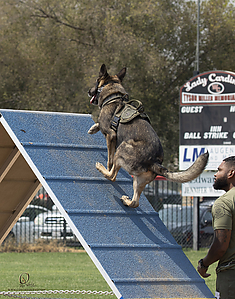 K9T_PH21_IMG_0588.jpg