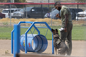 K9T_PH21_IMG_0595.jpg