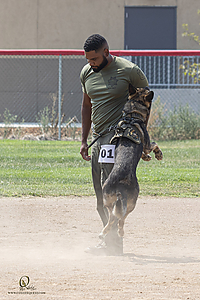 K9T_PH21_IMG_0602.jpg
