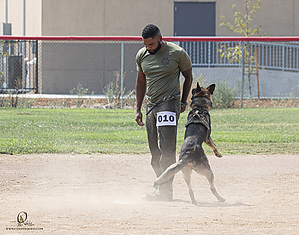 K9T_PH21_IMG_0603.jpg