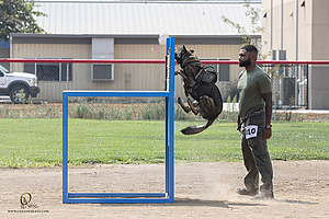 K9T_PH21_IMG_0612.jpg
