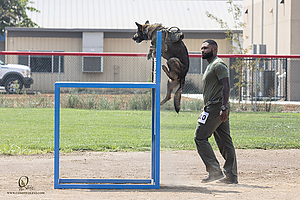 K9T_PH21_IMG_0615.jpg