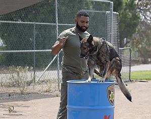 K9T_PH21_IMG_0630.jpg