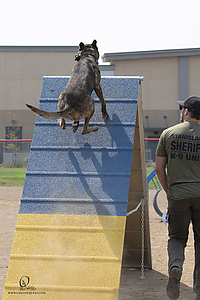 K9T_PH21_IMG_0651.jpg
