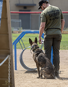 K9T_PH21_IMG_0657.jpg