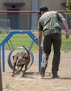 K9T_PH21_IMG_0658.jpg