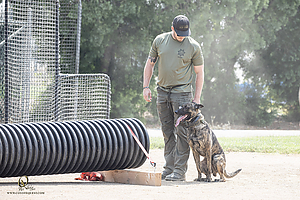 K9T_PH21_IMG_0670.jpg
