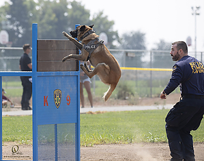 K9T_PH21_IMG_0724.jpg