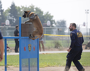 K9T_PH21_IMG_0725.jpg
