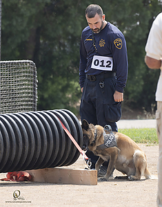 K9T_PH21_IMG_0732.jpg