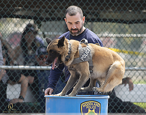 K9T_PH21_IMG_0739.jpg