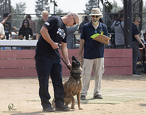 K9T_PH21_IMG_0748.jpg