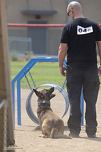 K9T_PH21_IMG_0765.jpg