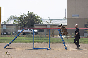 K9T_PH21_IMG_0769.jpg