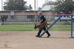 K9T_PH21_IMG_0781.jpg