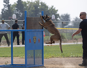 K9T_PH21_IMG_0782.jpg