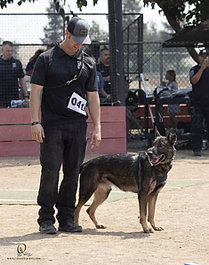 K9T_PH21_IMG_0797.jpg