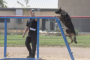 K9T_PH21_IMG_0819.jpg