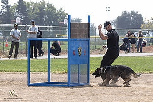 K9T_PH21_IMG_0825.jpg
