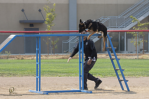 K9T_PH21_IMG_0870.jpg