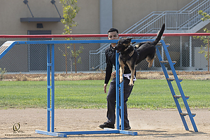 K9T_PH21_IMG_0871.jpg