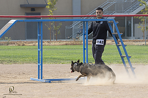 K9T_PH21_IMG_0878.jpg