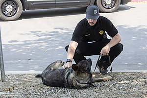 K9T_PH21_IMG_0930.jpg