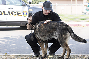 K9T_PH21_IMG_0933.jpg
