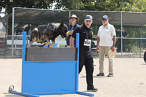K9T_PH21_IMG_0971.jpg