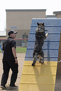 K9T_PH21_IMG_0977.jpg