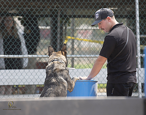 K9T_PH21_IMG_0994.jpg