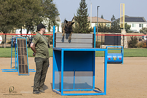 K9T_PH21_IMG_9971.jpg