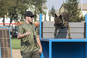 K9T_PH21_IMG_9977.jpg