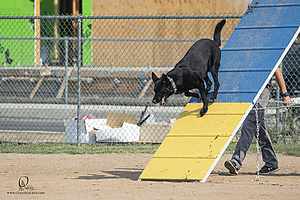 K9T_PH21_IMG_9985.jpg