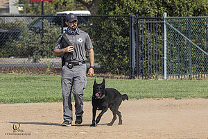 K9T_PH21_IMG_9987.jpg