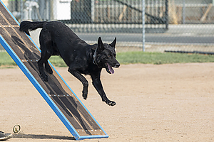 K9T_PH21_IMG_9995.jpg