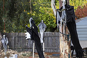 002_Spook_PH22_IMG_2228.jpg