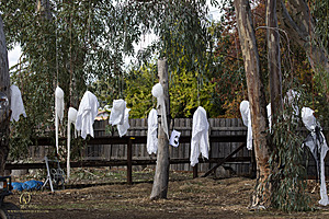 003_Spook_PH22_IMG_2232.jpg