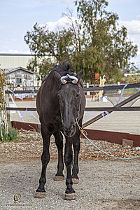 014_Spook_PH22_IMG_3519.jpg