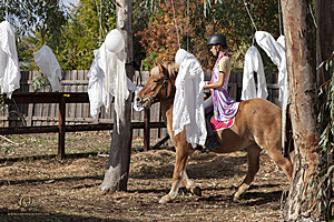 052_Spook_PH22_IMG_3612.jpg