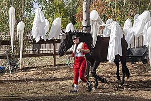 088_Spook_PH22_IMG_3787.jpg