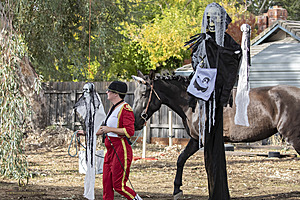 091_Spook_PH22_IMG_2737.jpg