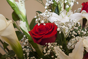 SESMem_PH19_IMG_2137.jpg