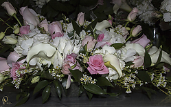 SN_PH18_IMG_5765.jpg
