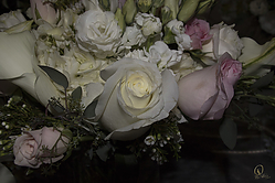 SN_PH18_IMG_5767.jpg